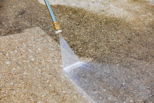 Animal Enclosure Cleaning in Canadian, TX