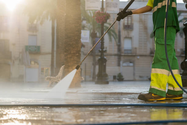 Best Solar Panel Cleaning  in Canadian, TX